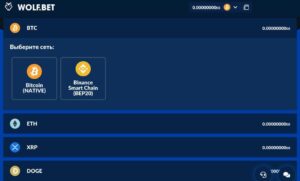 Как внести депозит в крипто казино Волфбет